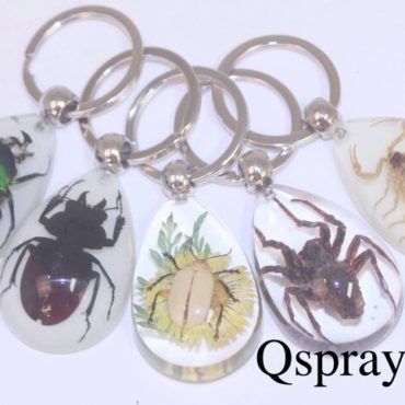 Cool Insect Key Rings